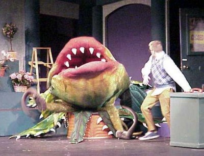 from http://www.brockport.edu/theatre/feedme1.jpg